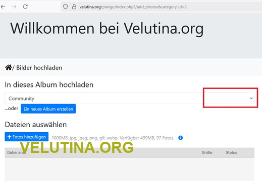 Bilder hochladen02