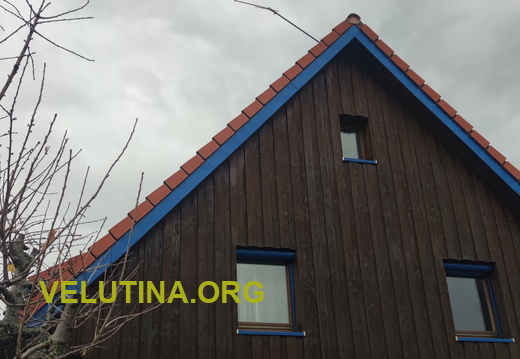 SaunaVelutina39