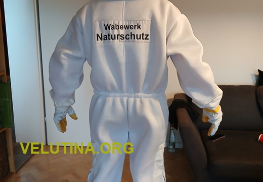 Wabenwerk2026-17